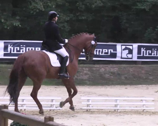 Nordbadische Meisterschaften Dressur 2016