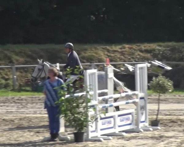 Reitturnier Köln-Leverkusen 2016