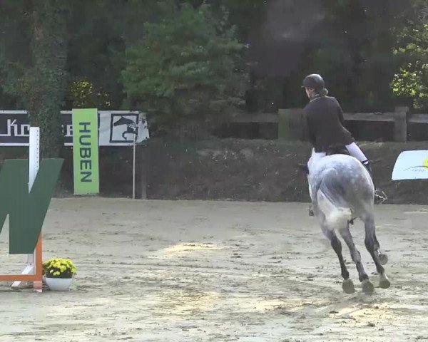 Nordbadische Meisterschaften Springen 2016