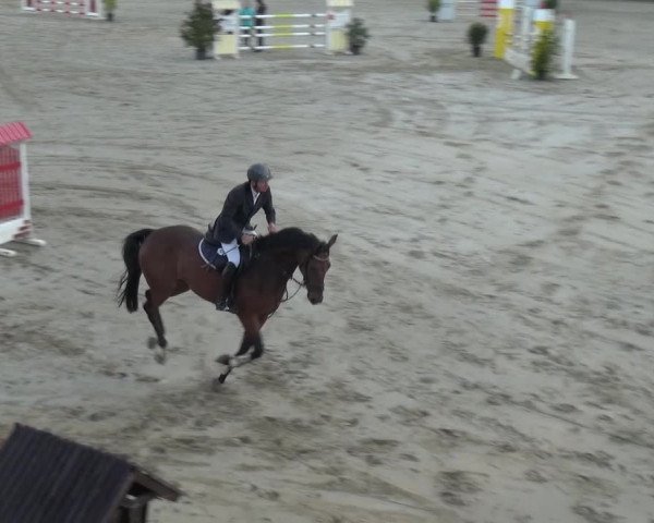Reitturnier Köln-Leverkusen 2016