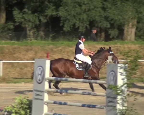 Reitturnier Köln-Leverkusen 2016
