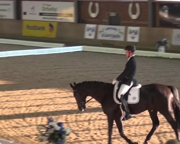 Reitturnier Köln-Leverkusen 2016