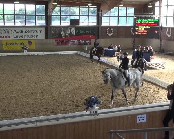 Reitturnier Köln-Leverkusen 2016