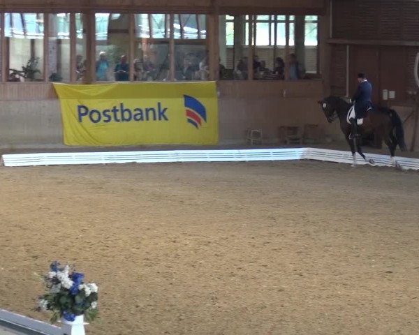 Reitturnier Köln-Leverkusen 2016