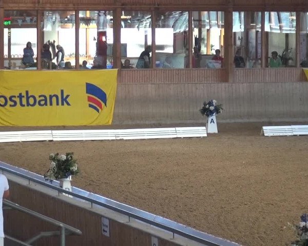 Reitturnier Köln-Leverkusen 2016