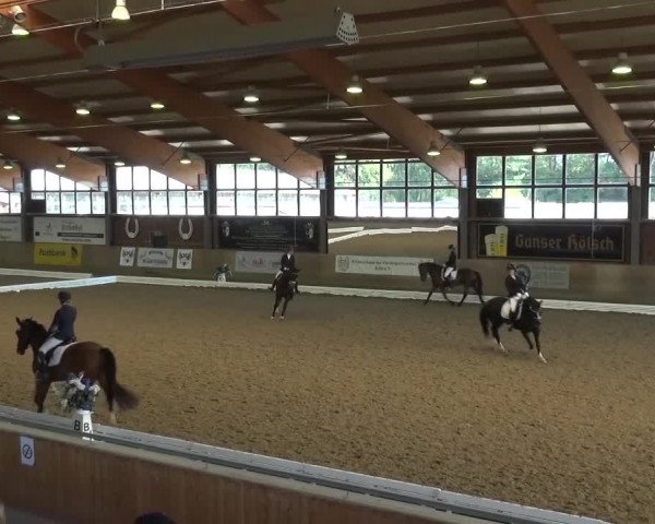 Reitturnier Köln-Leverkusen 2016