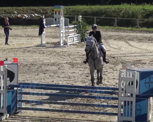 Reitturnier Köln-Leverkusen 2016