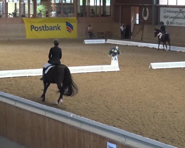 Reitturnier Köln-Leverkusen 2016