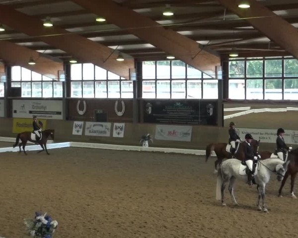 Reitturnier Köln-Leverkusen 2016