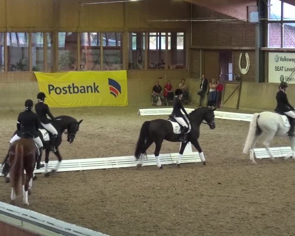 Reitturnier Köln-Leverkusen 2016