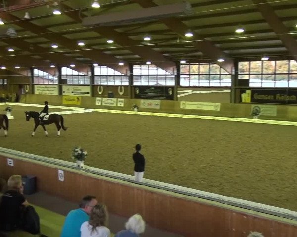Reitturnier Köln-Leverkusen 2016