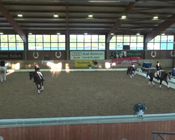 Reitturnier Köln-Leverkusen 2016