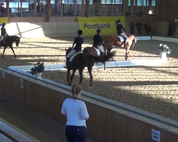 Reitturnier Köln-Leverkusen 2016
