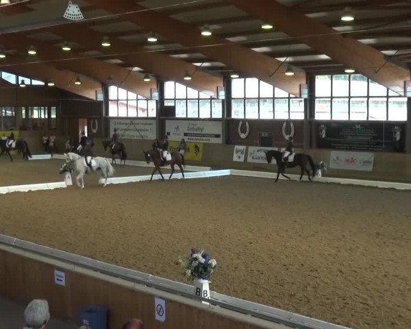 Reitturnier Köln-Leverkusen 2016