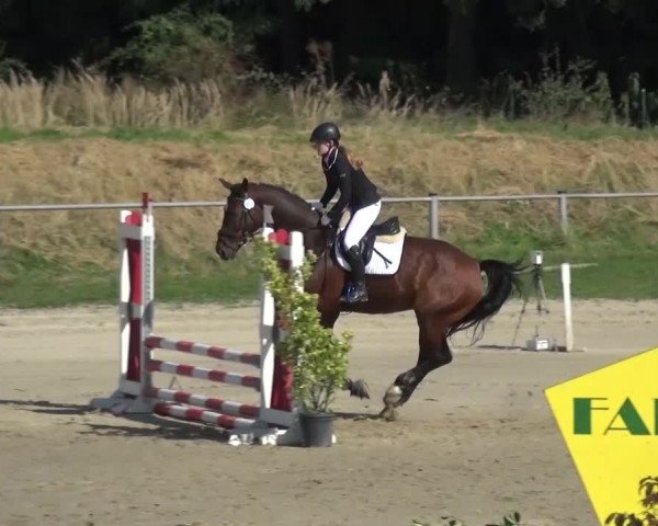 Reitturnier Köln-Leverkusen 2016