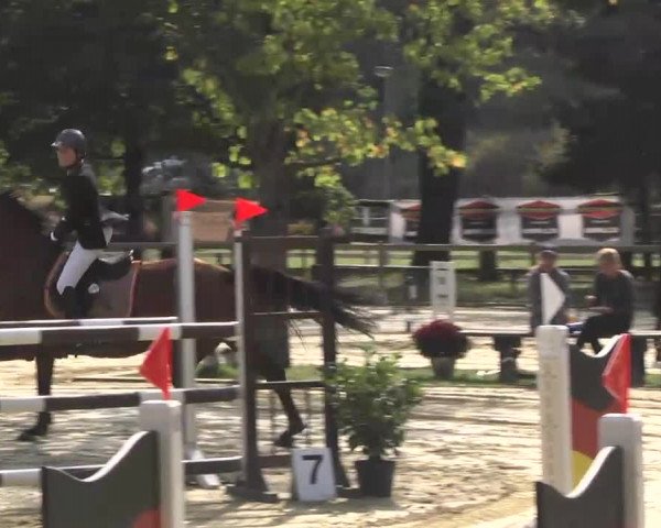 Nordbadische Meisterschaften Springen 2016