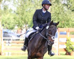 dressage horse Santa Fee 151 (Oldenburg, 2005, from Lannox)