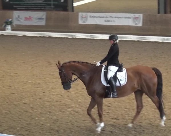 Reitturnier Köln-Leverkusen 2016