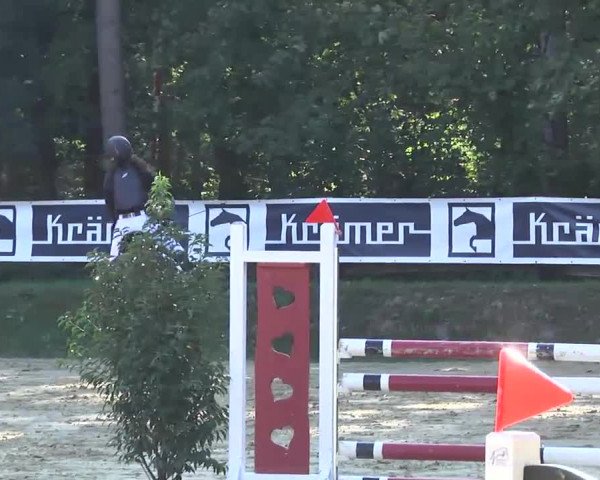 Nordbadische Meisterschaften Springen 2016
