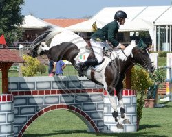broodmare Javas Alun (Irish Sport Horse, 2003, from Cavalier two for Joy)