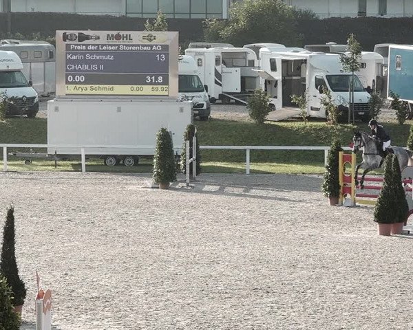 Pferdesporttage Bülach 2021
