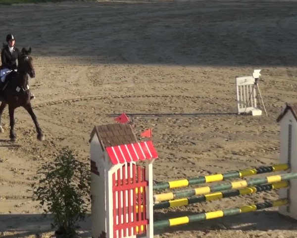 Reitturnier Köln-Leverkusen 2016