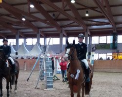jumper Peppermill Oak (Hanoverian, 2012, from Perigueux)