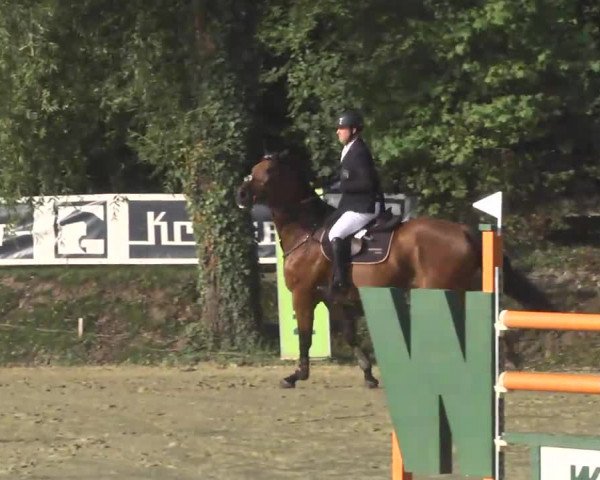 Nordbadische Meisterschaften Springen 2016