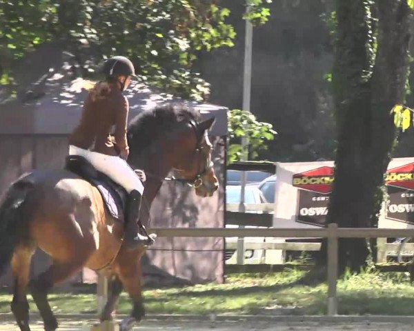 Nordbadische Meisterschaften Springen 2016