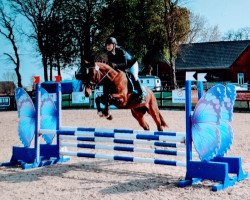 dressage horse Chiuvanna (Hanoverian, 2010, from Comte)