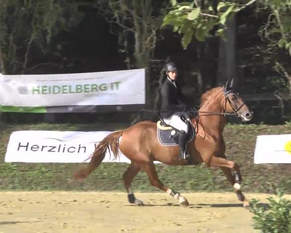 Nordbadische Meisterschaften Springen 2016