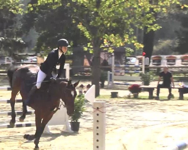 Nordbadische Meisterschaften Springen 2016