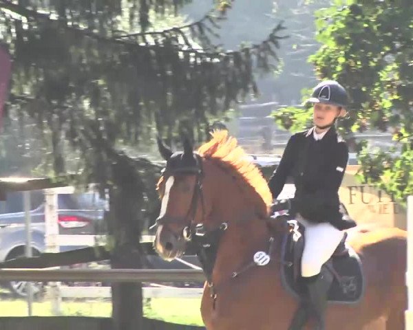Nordbadische Meisterschaften Springen 2016