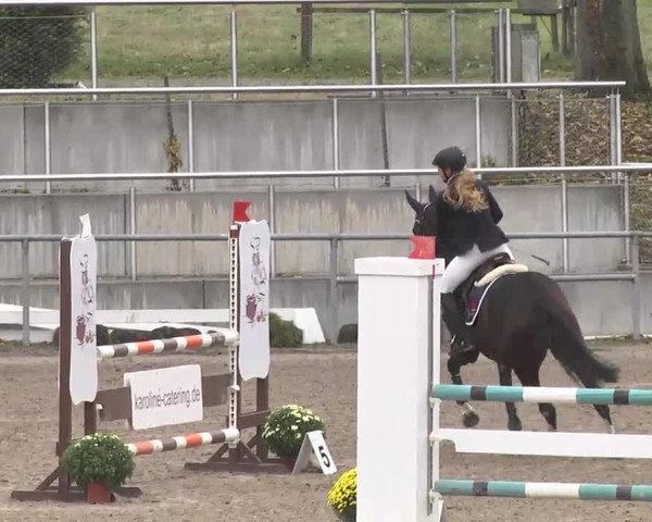 Reitturnier Pforzheim 2016