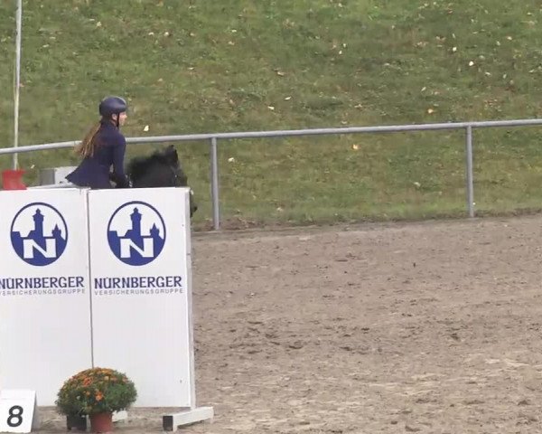 Reitturnier Pforzheim 2016