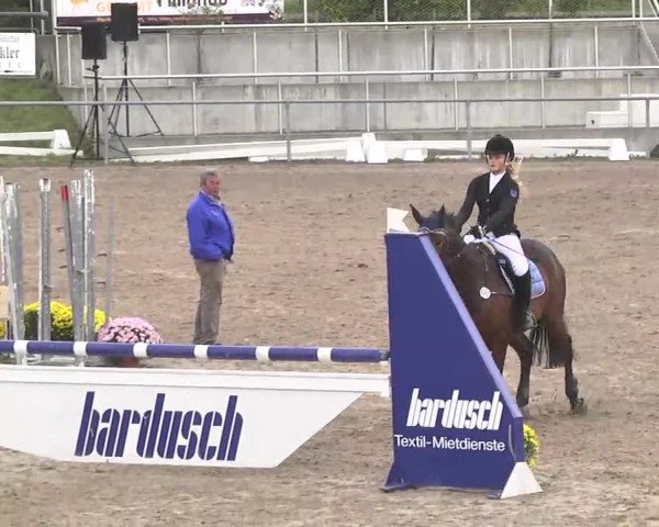 Reitturnier Pforzheim 2016