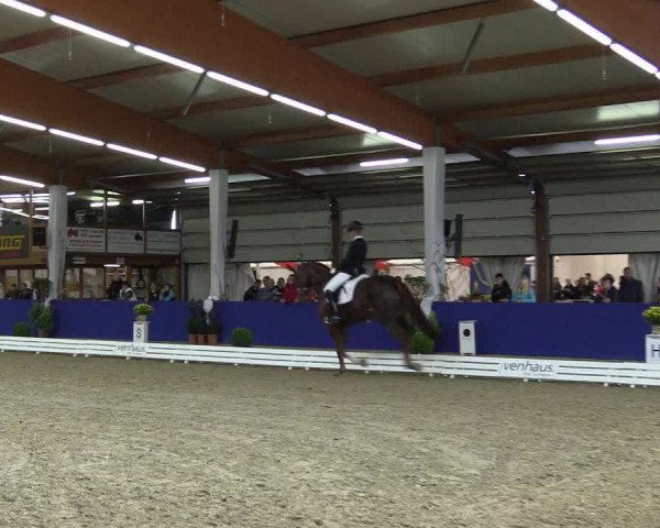 Dressurturnier Isterberg 2016
