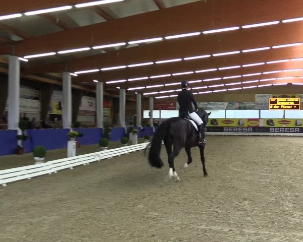 Dressurturnier Isterberg 2016