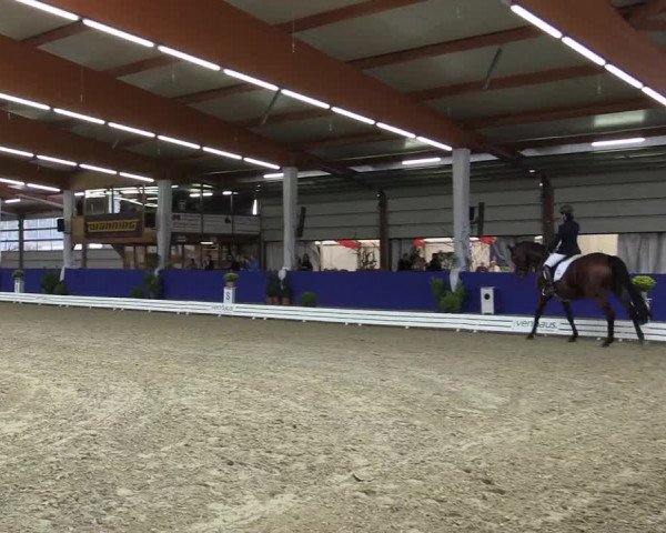 Dressurturnier Isterberg 2016