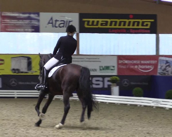 Dressurturnier Isterberg 2016
