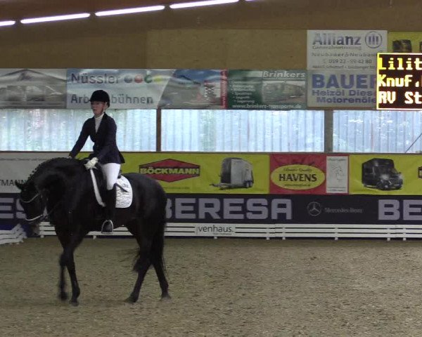 Dressurturnier Isterberg 2016