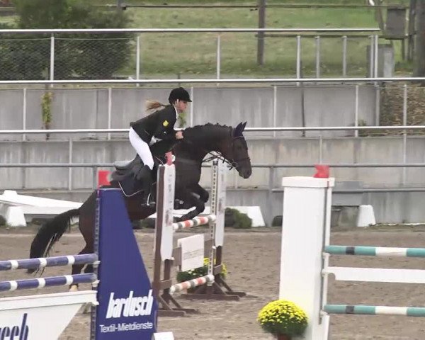 Reitturnier Pforzheim 2016