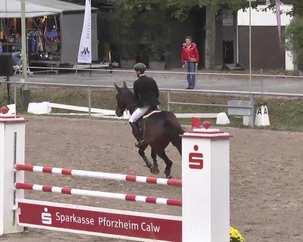 Reitturnier Pforzheim 2016