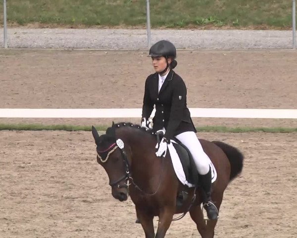 Reitturnier Pforzheim 2016