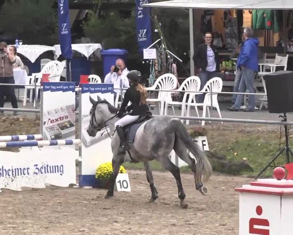 Reitturnier Pforzheim 2016