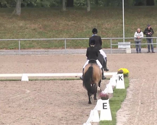 Reitturnier Pforzheim 2016