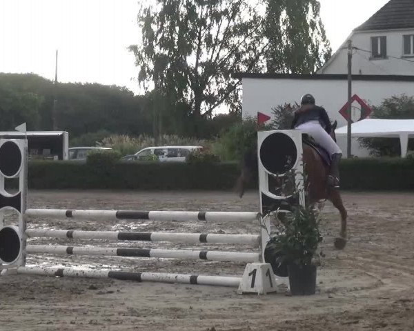 Reitturnier Leverkusen-Teitscheider Hof 2016