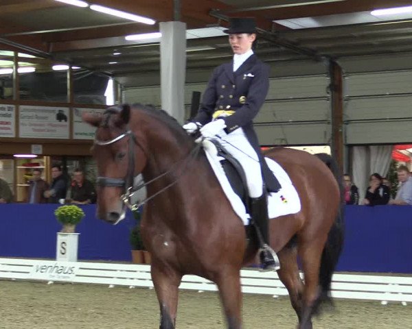 Dressurturnier Isterberg 2016