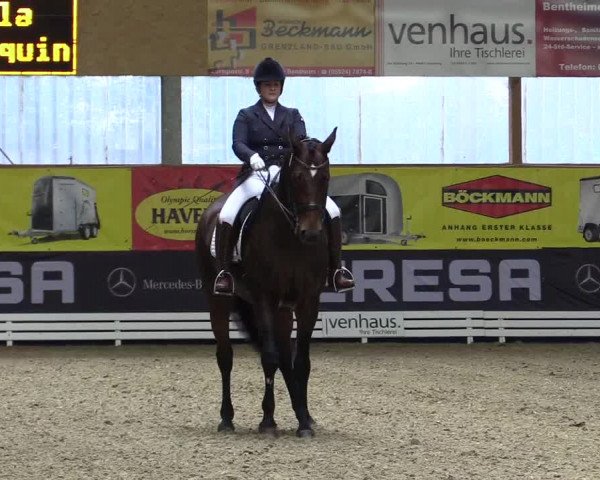 Dressurturnier Isterberg 2016