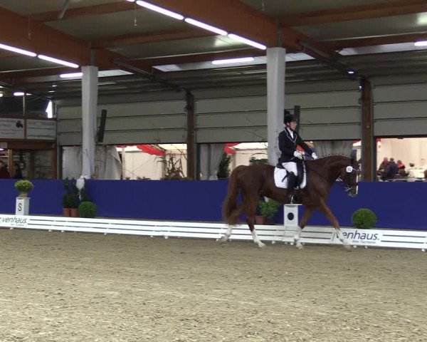 Dressurturnier Isterberg 2016